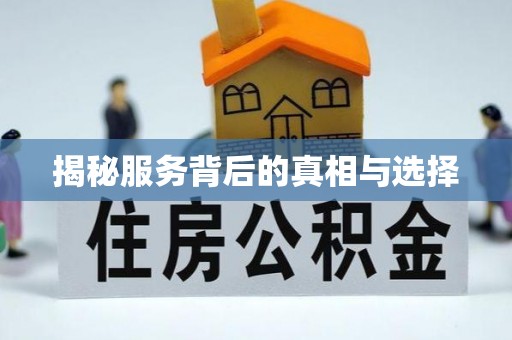 鼓山揭秘服务背后的真相与选择